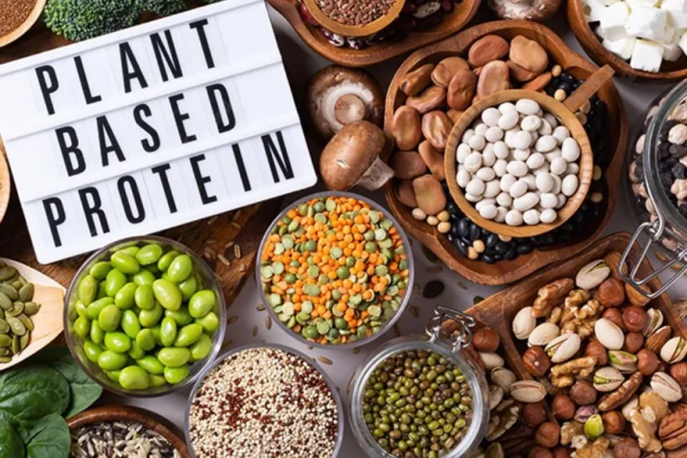 plant-based protein