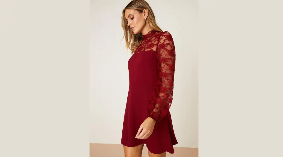 Dorothy Perkins Petite High Neck Lace Sleeve Mini Dress