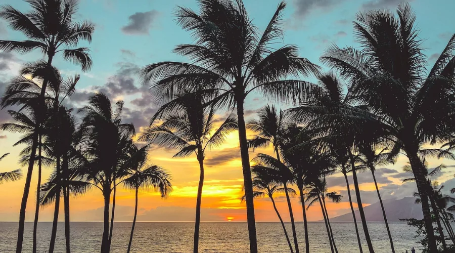 Maui Sunset