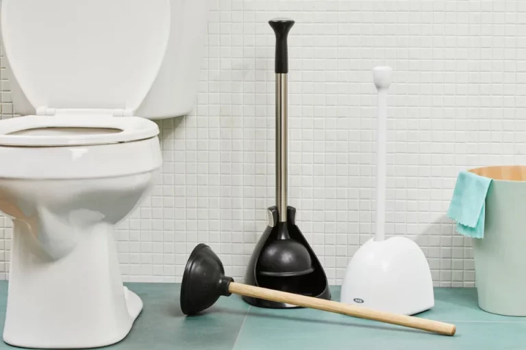 Toilet Plungers