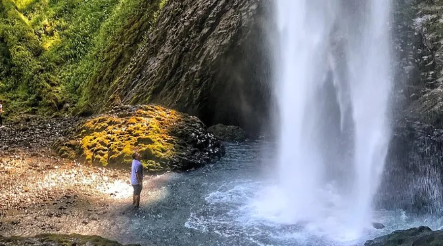 Half-Day Tour of Columbia River Gorge and Waterfall Hiking